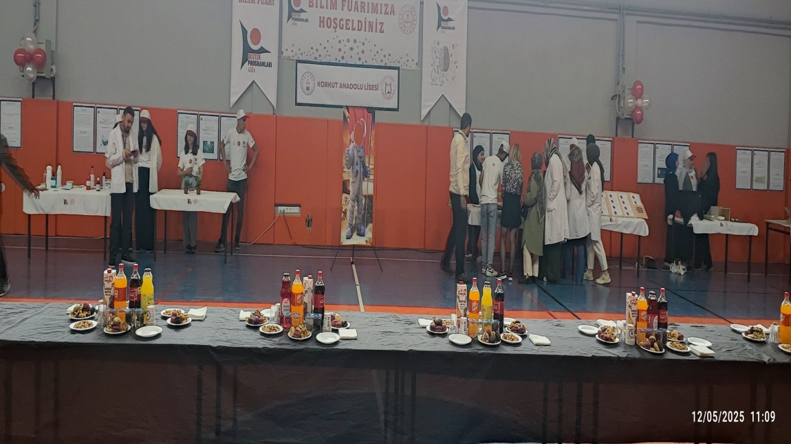 Bilimin Işığında Parlayan Genç Beyinler: Okulumuzda TÜBİTAK 4006 Bilim Fuarı Coşkusu!